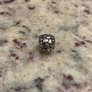 Pandora Bracelet Charms